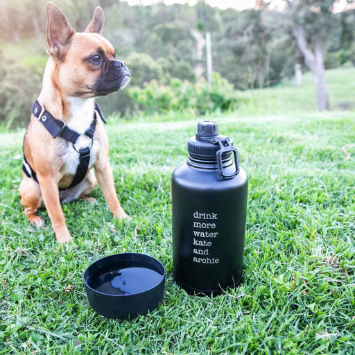 Customised Engraved Portable Travel Stainless Steel Black Pet Drinking Bowl and Water Bottle Birthday Gift