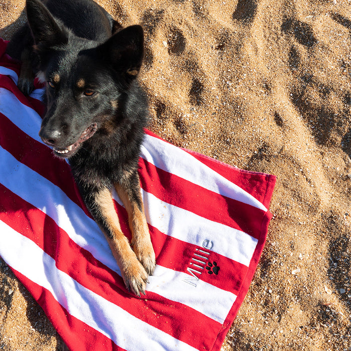 Customised Embroidered Dog's Name Large Stripped Cotton Beach Towel