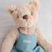 Soft caramel teddy bear gift for newborns, birthdays or Christmas