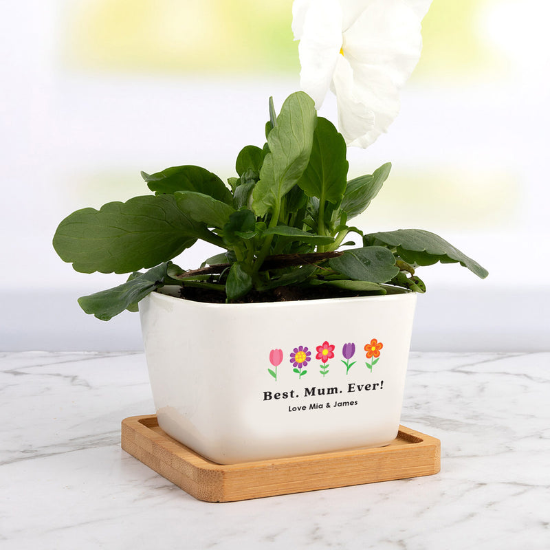 personalised succulent pots Personalised Ceramic Small Planter Pot