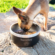 Custom Artwork Engraved Pet's Name Black Stainless Steel Round Dog Bowl Christmas Present