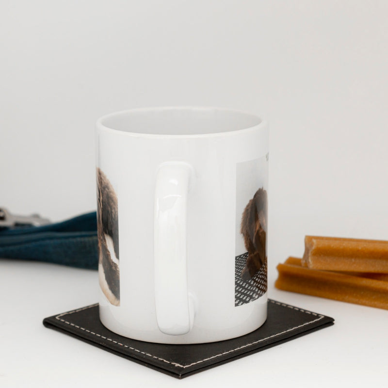 Custom Pet Memorial Coffee Mug